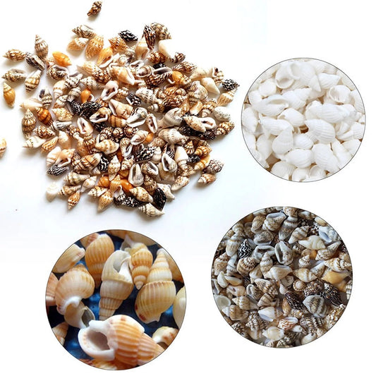 Sea Shells Mixed Beach Seashells Starfish for Beach Theme Party Wedding Decorations DIY Crafts Candle Making Fish Tank Vase Fillers Home Decorations Supplies,100 PC