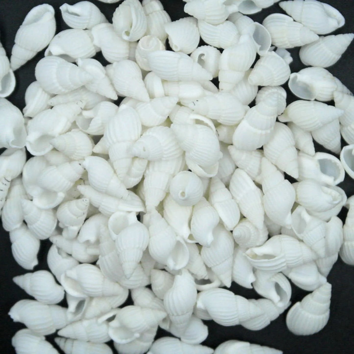 Sea Shells Mixed Beach Seashells Starfish for Beach Theme Party Wedding Decorations DIY Crafts Candle Making Fish Tank Vase Fillers Home Decorations Supplies,100 PC