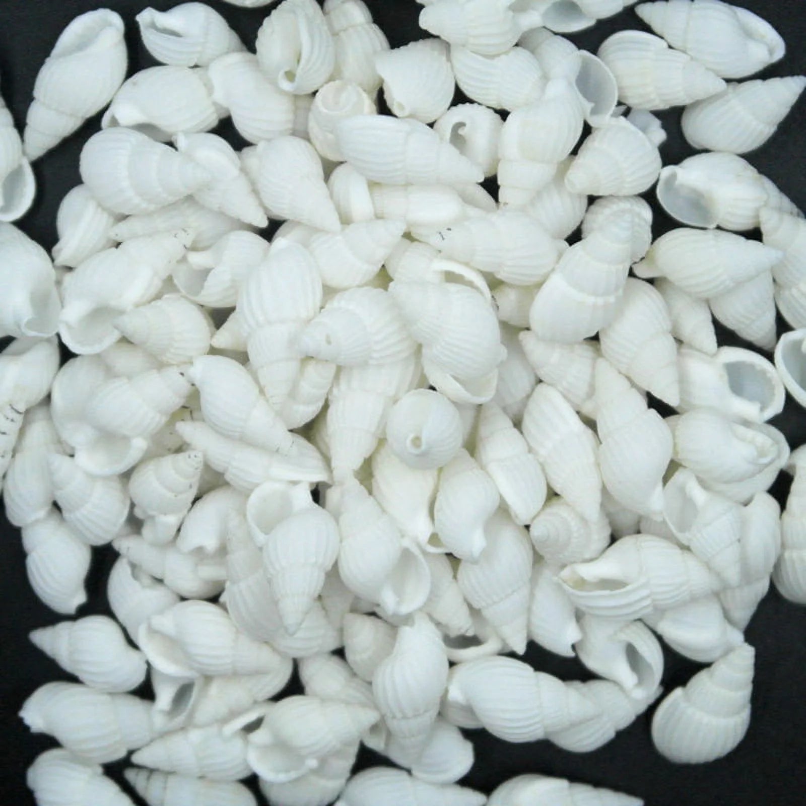 Sea Shells Mixed Beach Seashells Starfish for Beach Theme Party Wedding Decorations DIY Crafts Candle Making Fish Tank Vase Fillers Home Decorations Supplies,100 PC